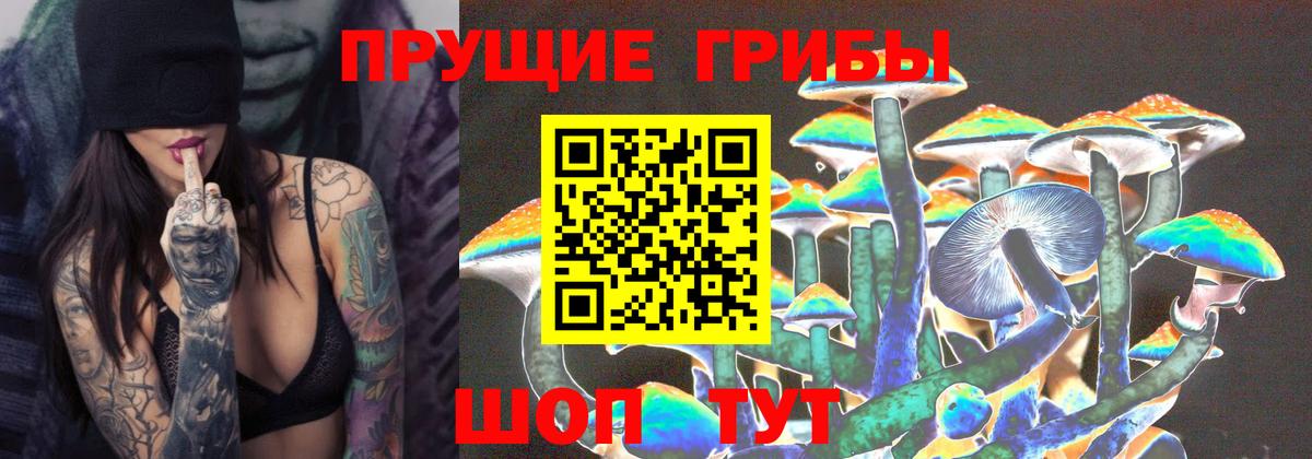 Псилоцибиновые грибы мицелий Спасск-Дальний