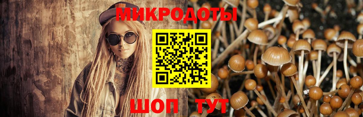 Псилоцибиновые грибы GOLDEN TEACHER  Вход с VPN  Спасск-Дальний 